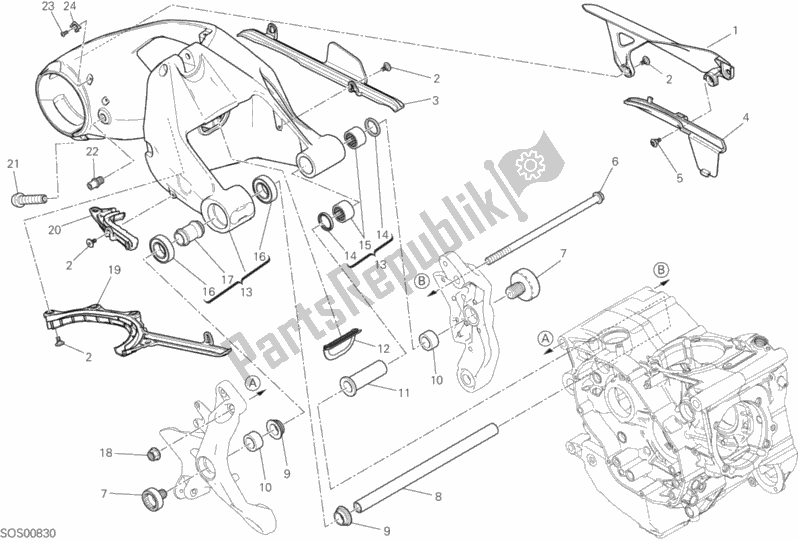 All parts for the Rear Swinging Arm of the Ducati Monster 1200 USA 2020